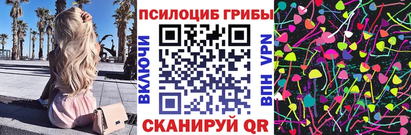 Псилоцибиновые грибы мицелий  Хвалынск 